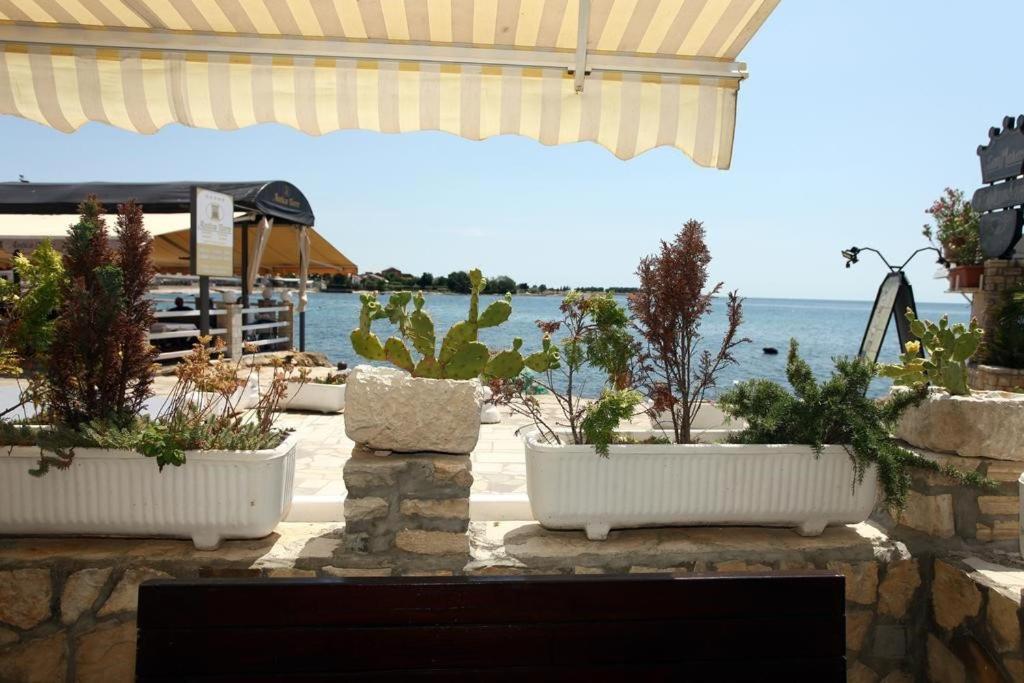 Sea View Apartment Umag 2 מראה חיצוני תמונה